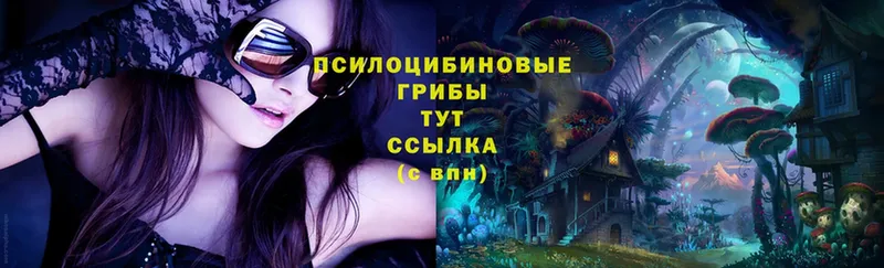 Галлюциногенные грибы MAGIC MUSHROOMS  купить наркотики сайты  Бежецк 